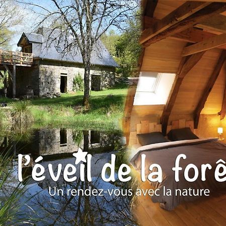 Gîte Nature Vitrac-sur-Montane Exterior foto