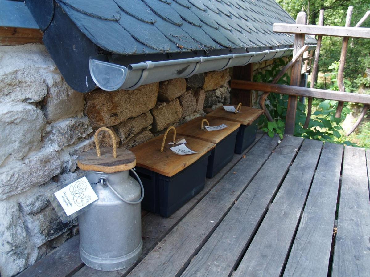 Gîte Nature Vitrac-sur-Montane Exterior foto