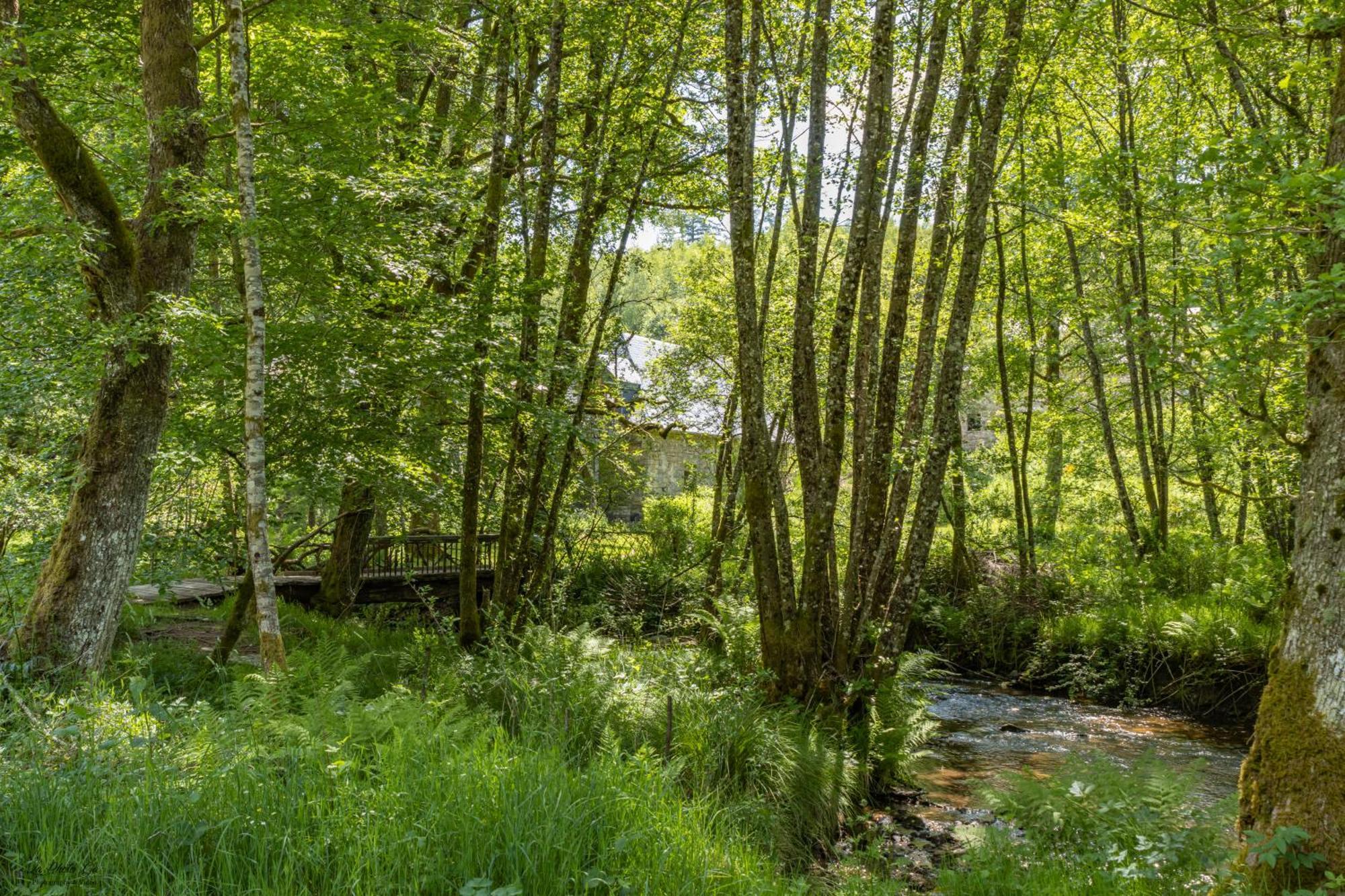 Gîte Nature Vitrac-sur-Montane Exterior foto
