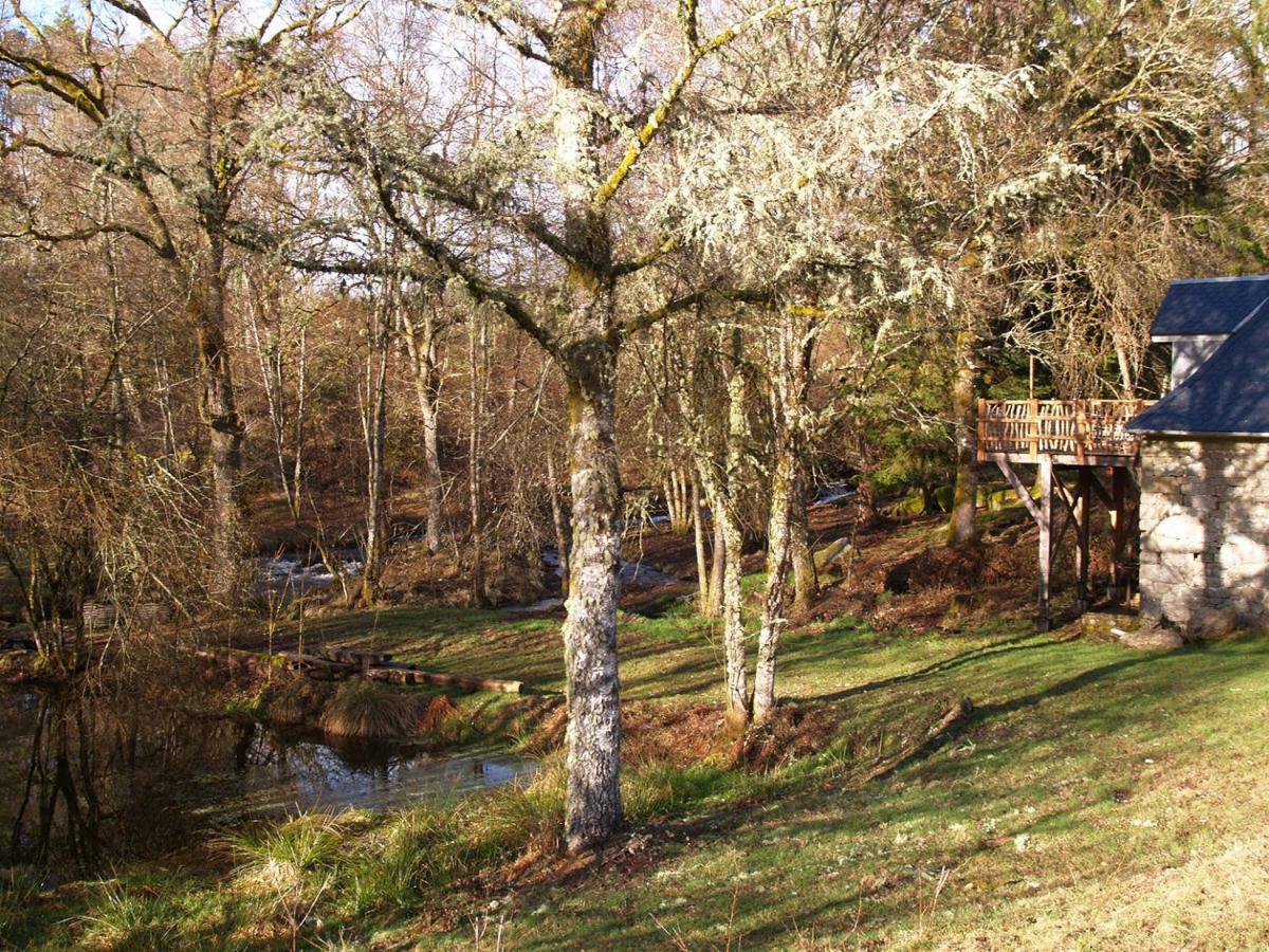 Gîte Nature Vitrac-sur-Montane Exterior foto