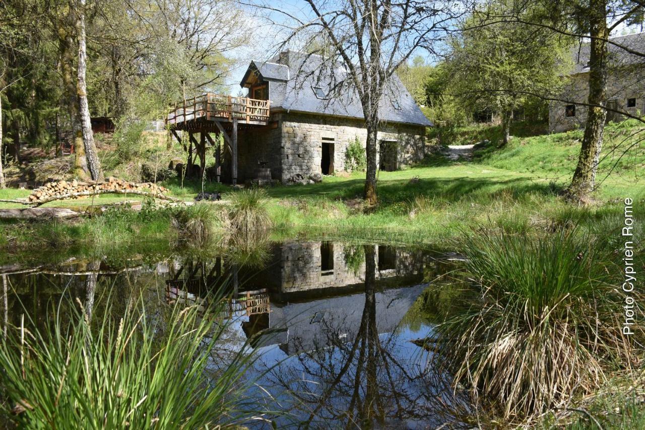Gîte Nature Vitrac-sur-Montane Exterior foto